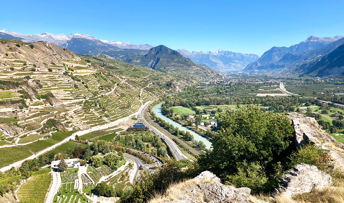 vineyards in Valais