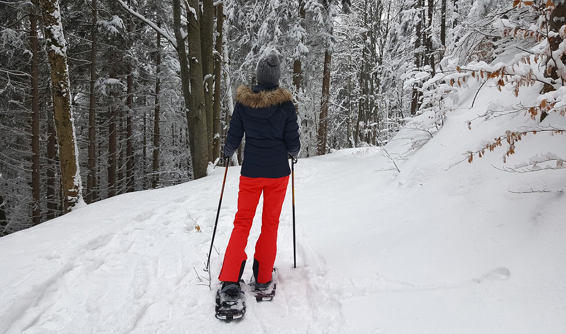 woman snowshoeing in forest